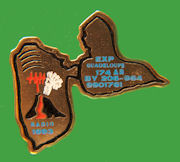 Pin Dxpedition GUADALUPE Isl.