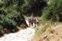 Primeras cuestas subiendo alto do Poio